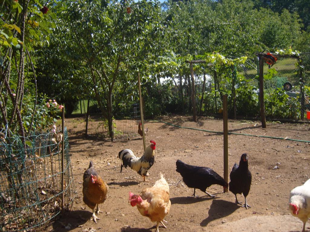 La Jaubertie Villa Meyrals Luaran gambar